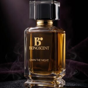 OWN THE NIGHT
